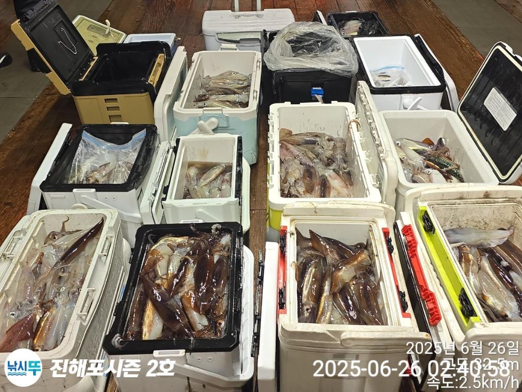 낚시뚜,오징어,한치,진해행암항,진해포시즌 2호,낚시뚜20