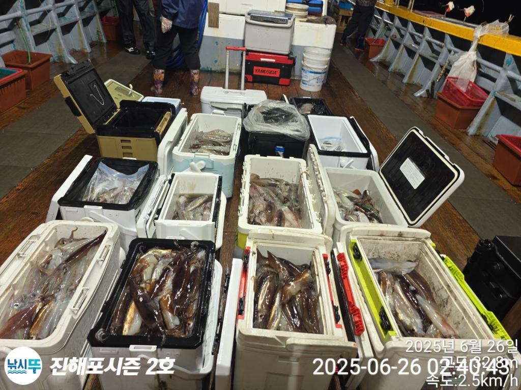 낚시뚜,오징어,한치,진해행암항,진해포시즌 2호,낚시뚜1