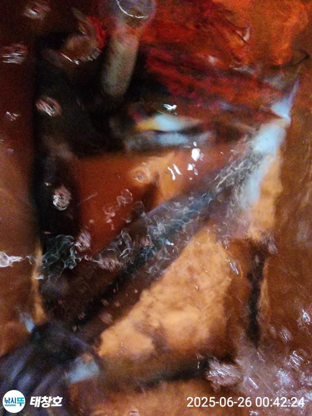 F2710078W0.jpg