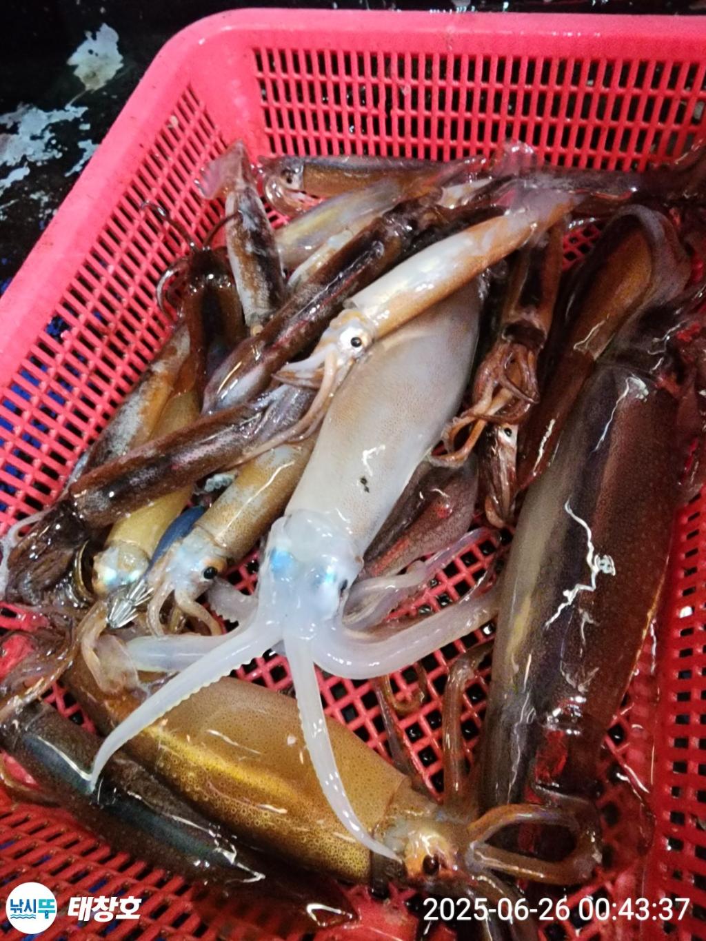 F27100805C.jpg