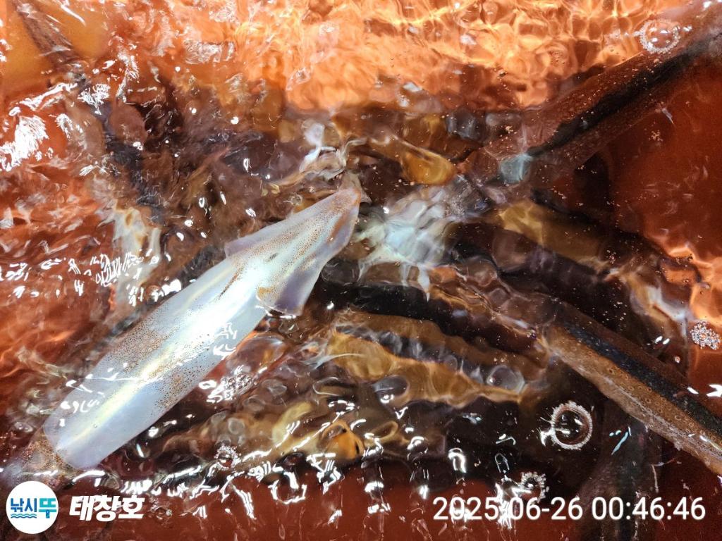 F2710083Q6.jpg