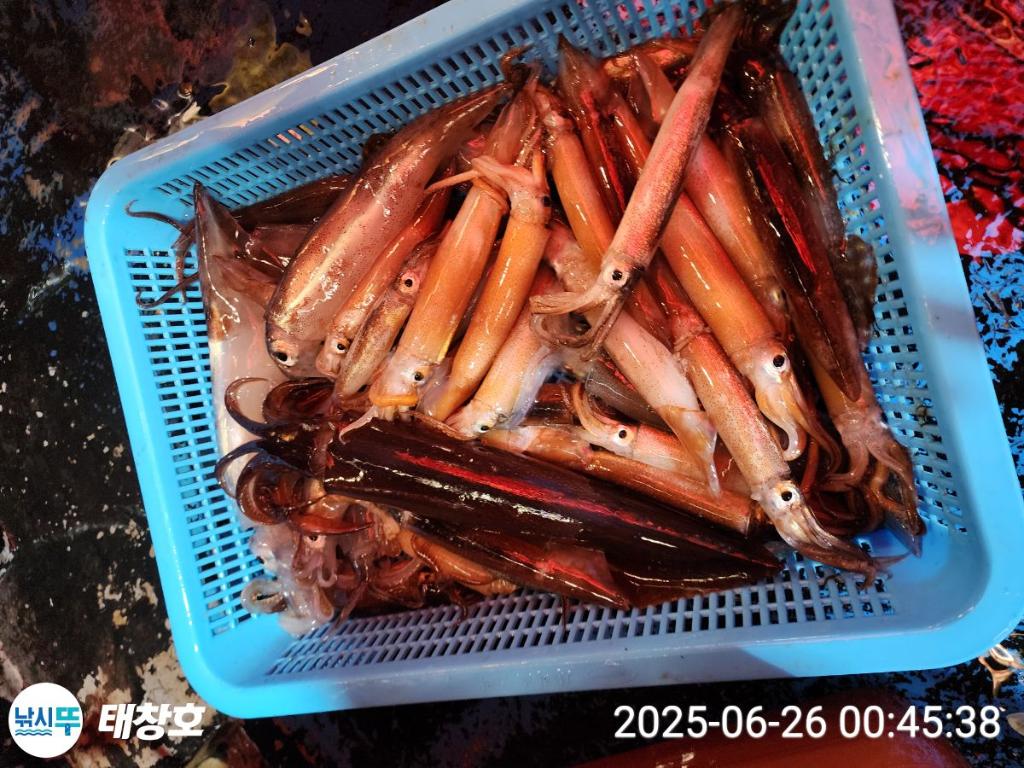 F27100857U.jpg