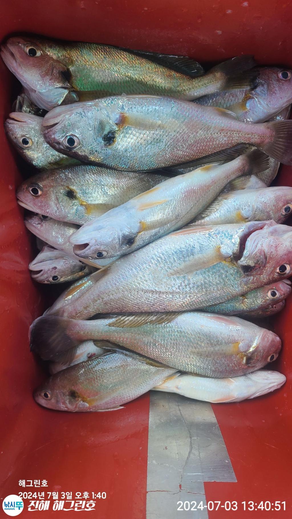 F271013917.jpg