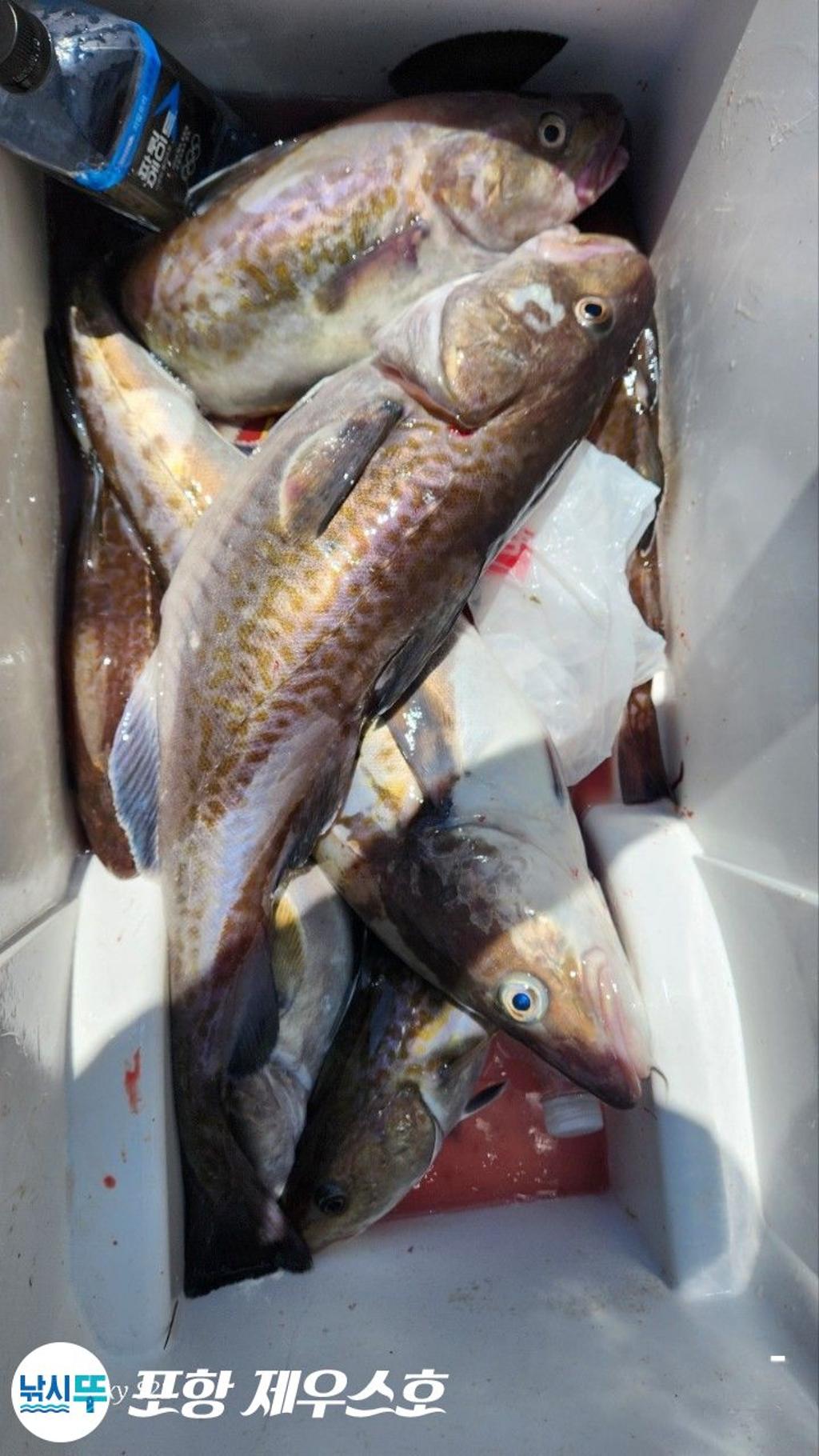 F27103049F.jpg