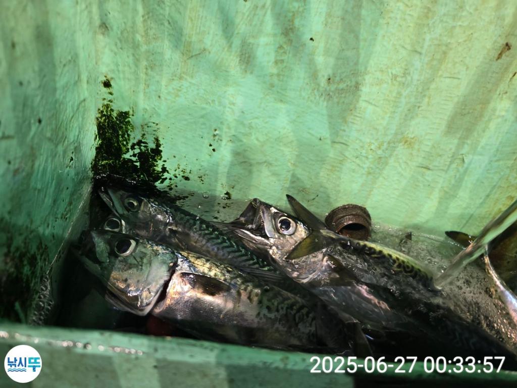 F271038260.jpg