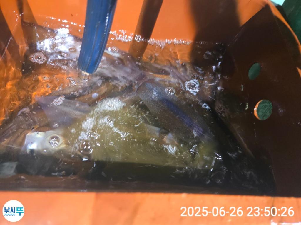 F27103938O.jpg
