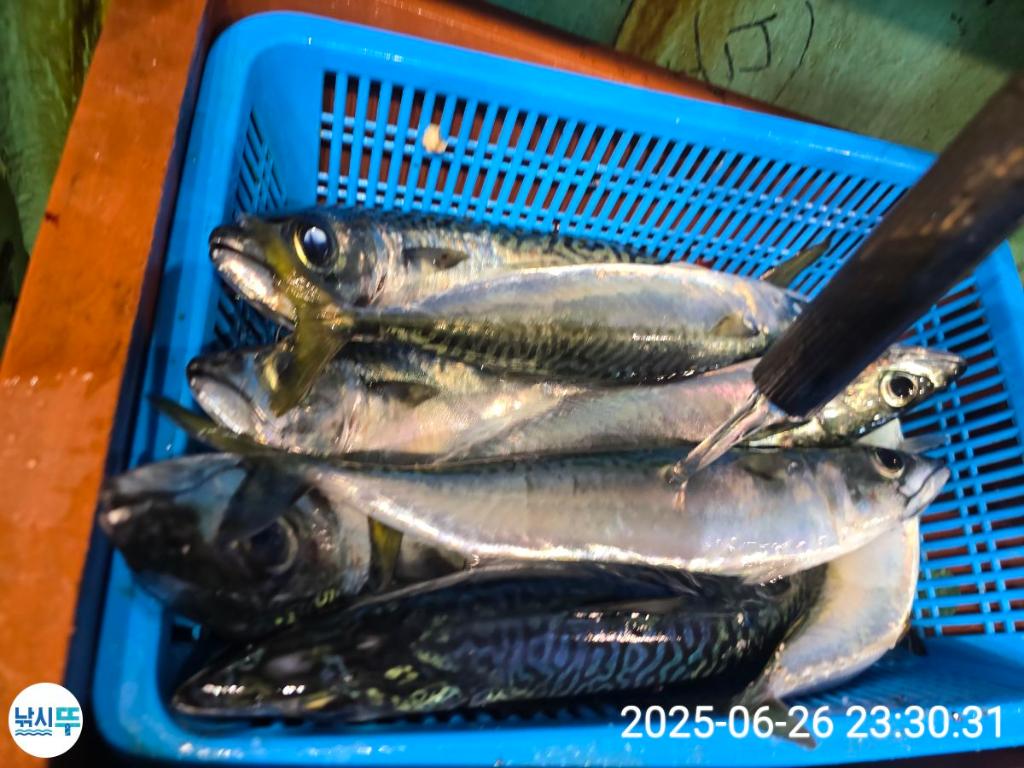 F2710402GS.jpg