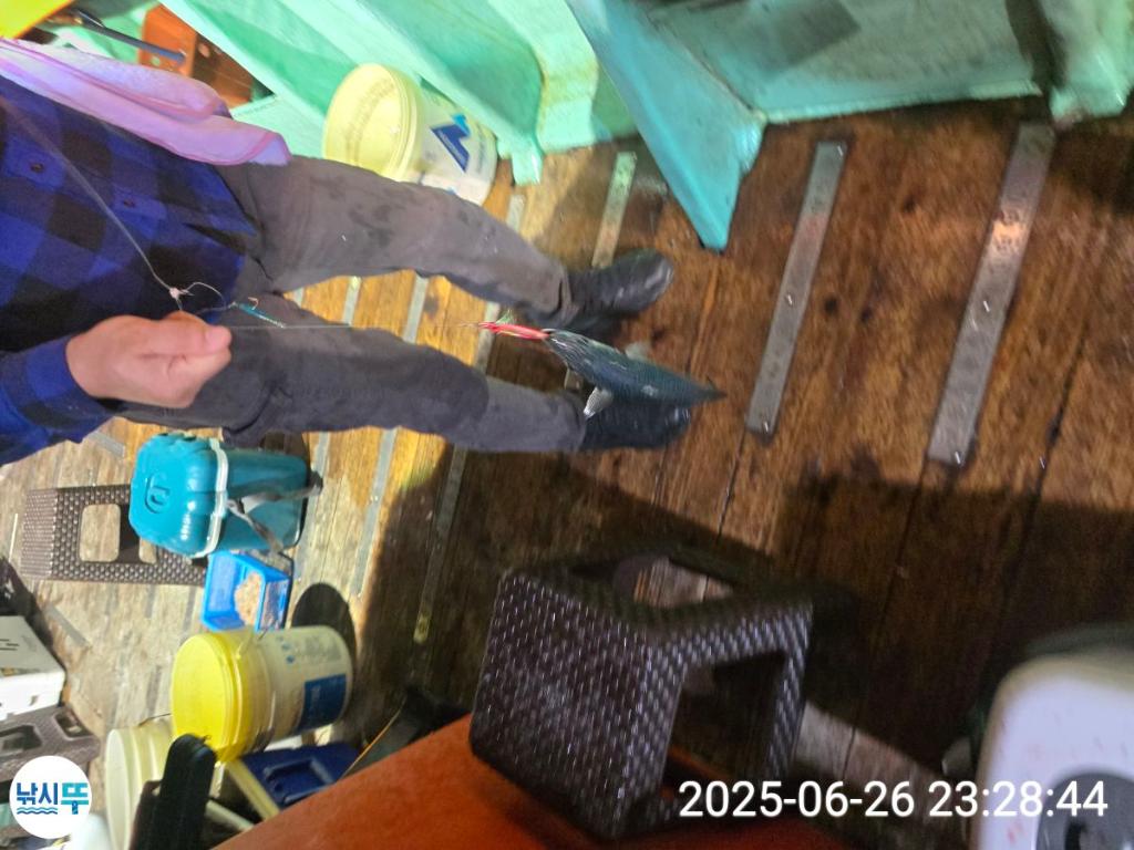 F2710409WU.jpg