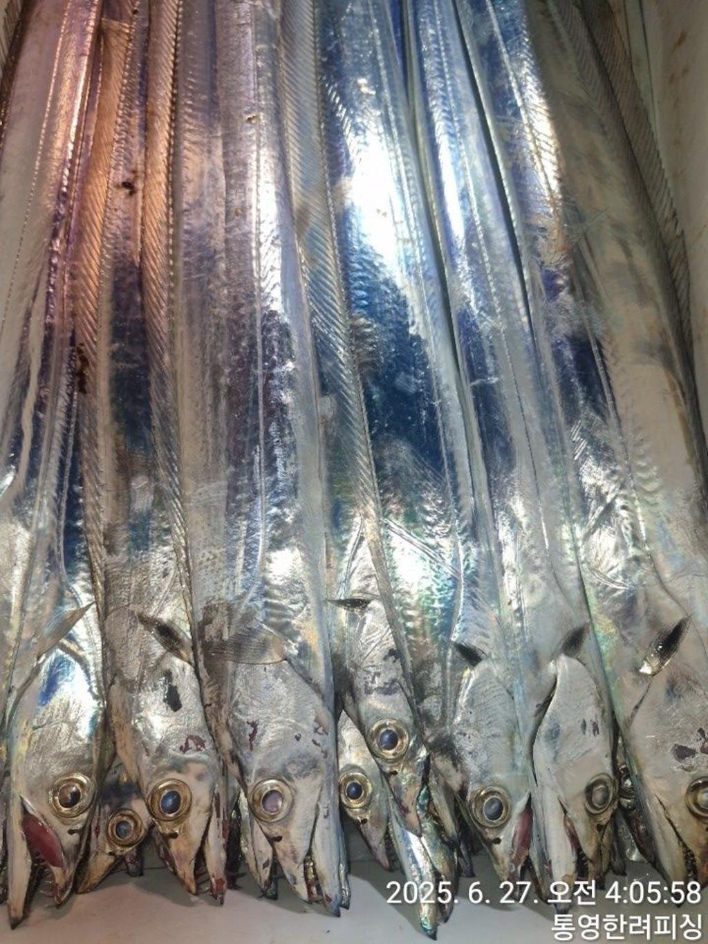 F2710447OG.jpg