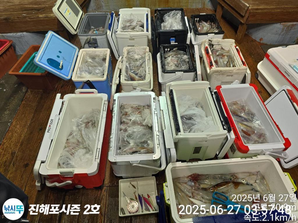 낚시뚜,오징어,한치,진해행암항,진해포시즌 2호,낚시뚜27