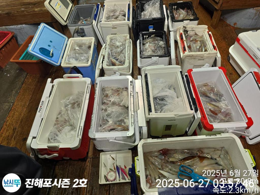 낚시뚜,오징어,한치,진해행암항,진해포시즌 2호,낚시뚜26