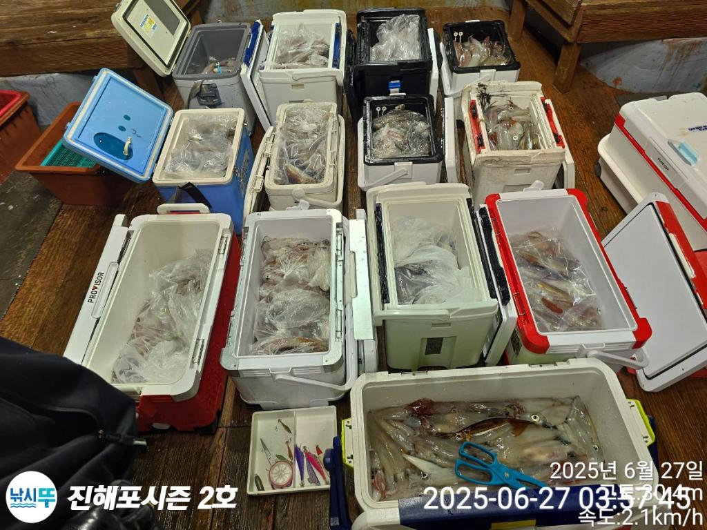 낚시뚜,오징어,한치,진해행암항,진해포시즌 2호,낚시뚜25
