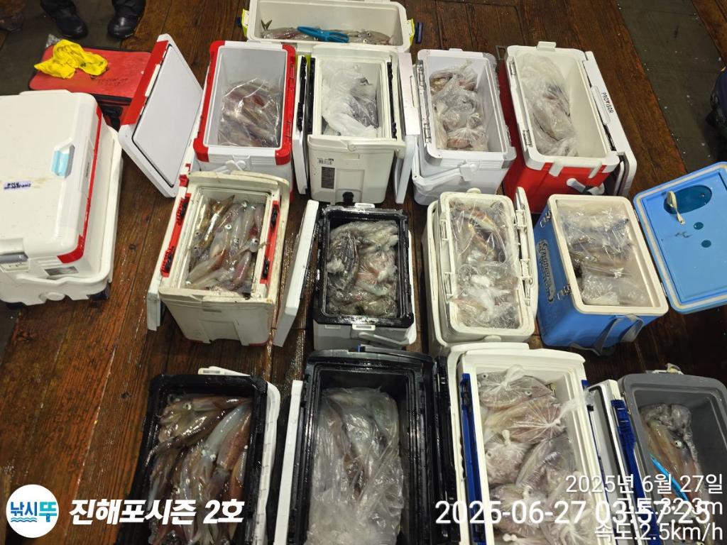 낚시뚜,오징어,한치,진해행암항,진해포시즌 2호,낚시뚜24