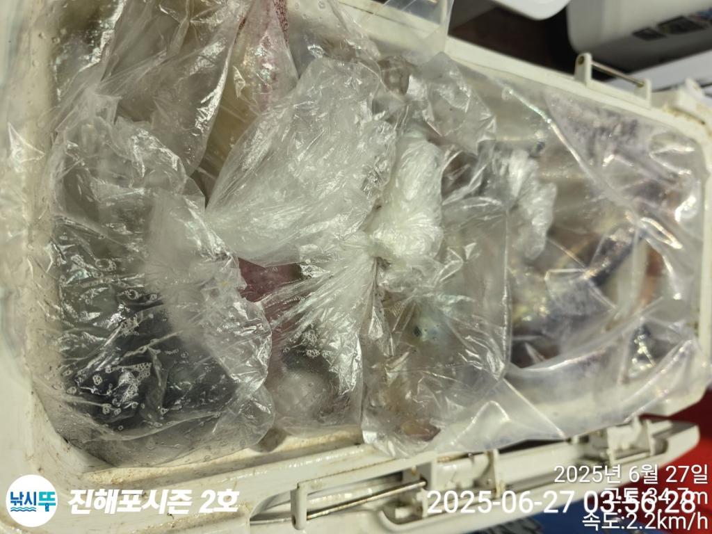 낚시뚜,오징어,한치,진해행암항,진해포시즌 2호,낚시뚜21