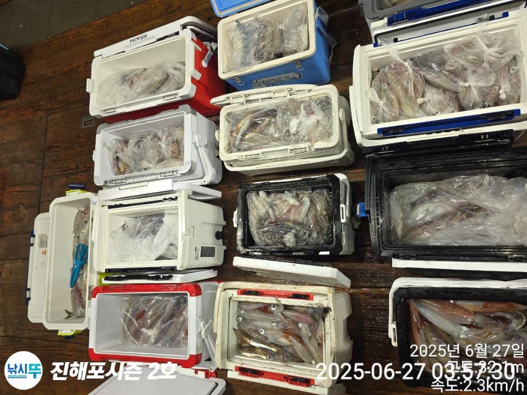 낚시뚜,오징어,한치,진해행암항,진해포시즌 2호,낚시뚜21