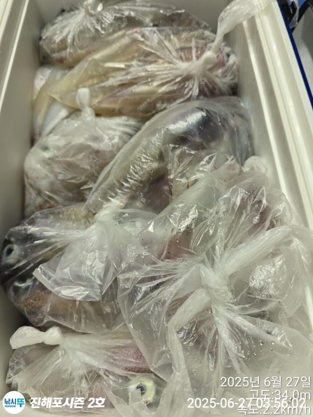 낚시뚜,오징어,한치,진해행암항,진해포시즌 2호,낚시뚜18