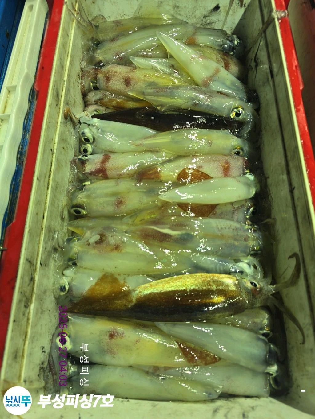F271056264.jpg