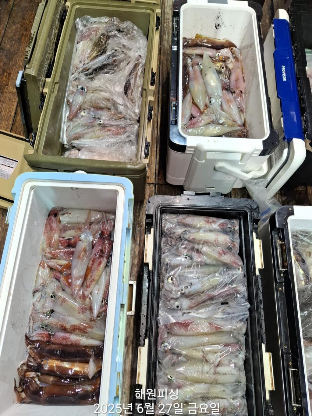 F2710729AR.jpg