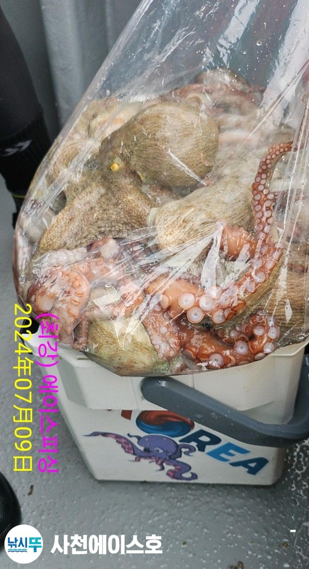 F2710910EJ.jpg