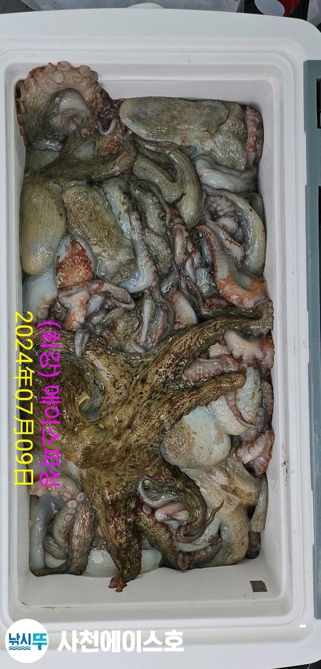 F2710913K9.jpg