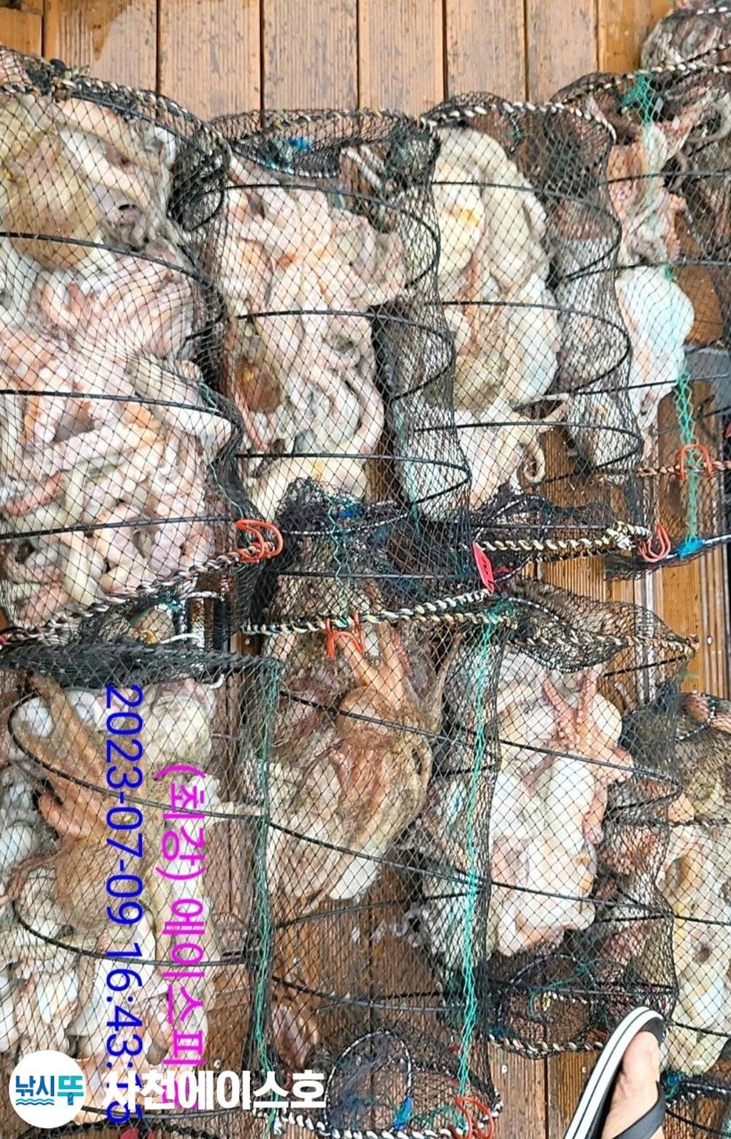 F2710914GE.jpg