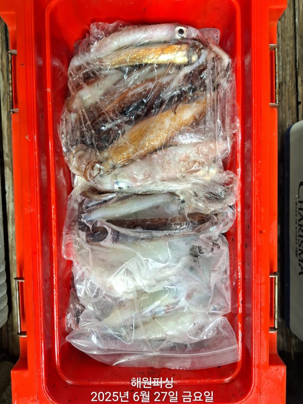 F27109942U.jpg