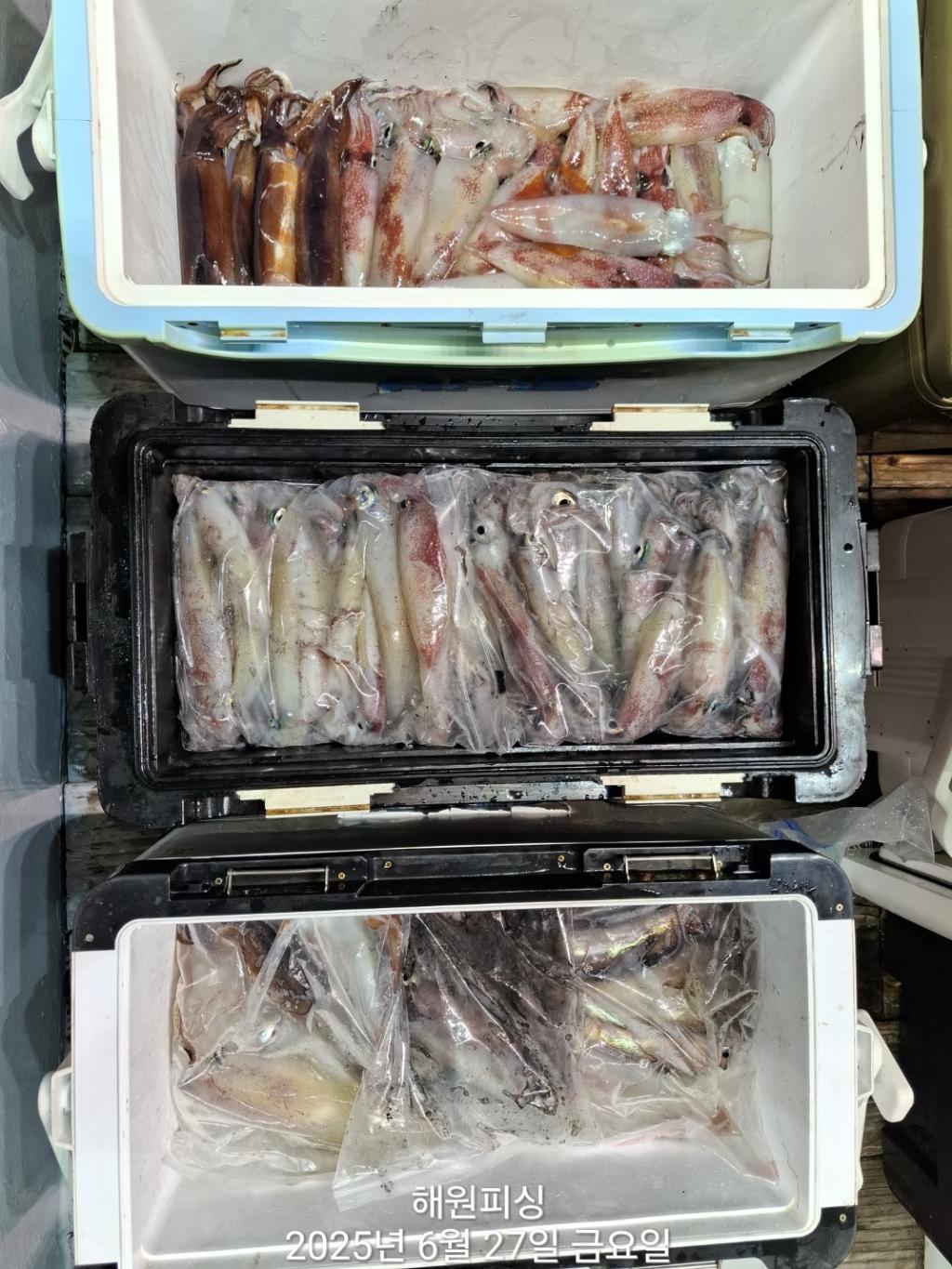 F2711003JR.jpg
