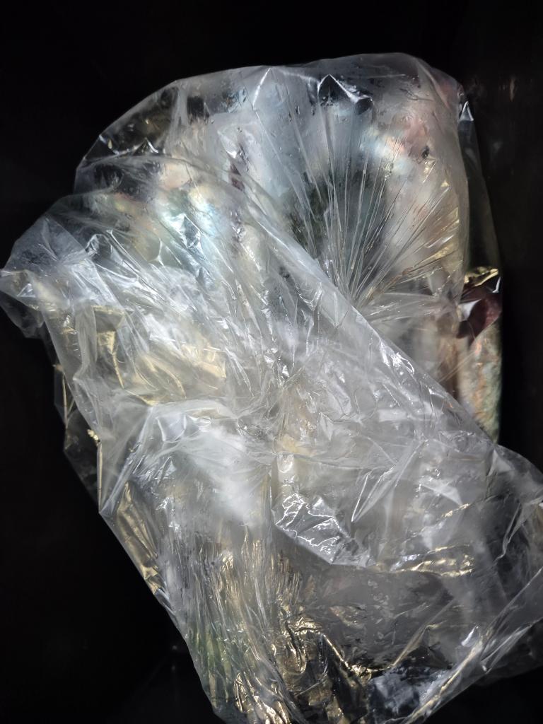 F271103158.jpg