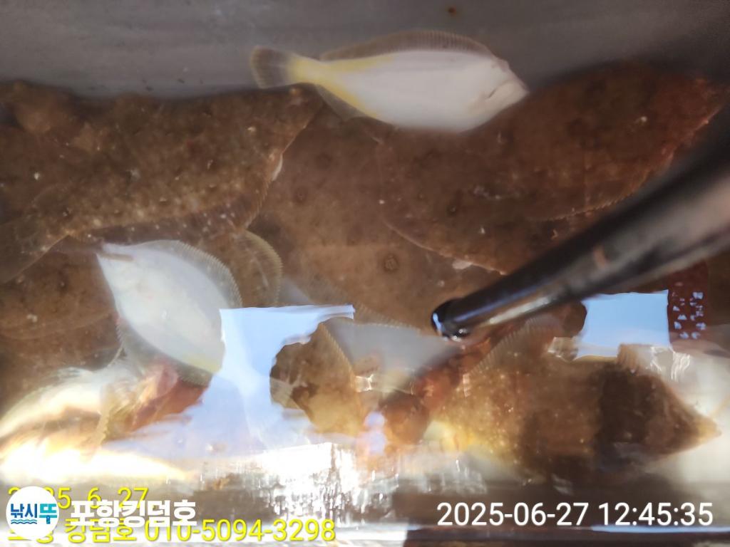 낚시뚜,도다리,영일만항,포항 킹덤호,낚시뚜14