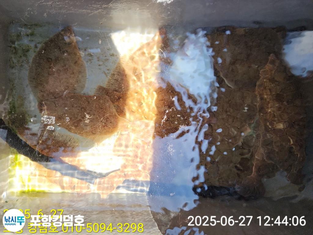 낚시뚜,도다리,영일만항,포항 킹덤호,낚시뚜11