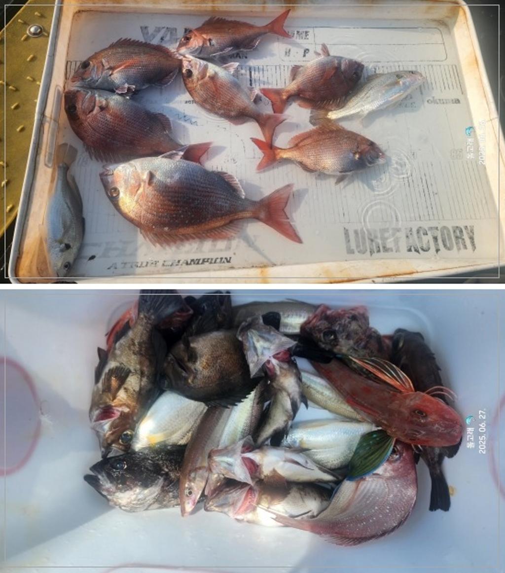 F2711192CR.jpg