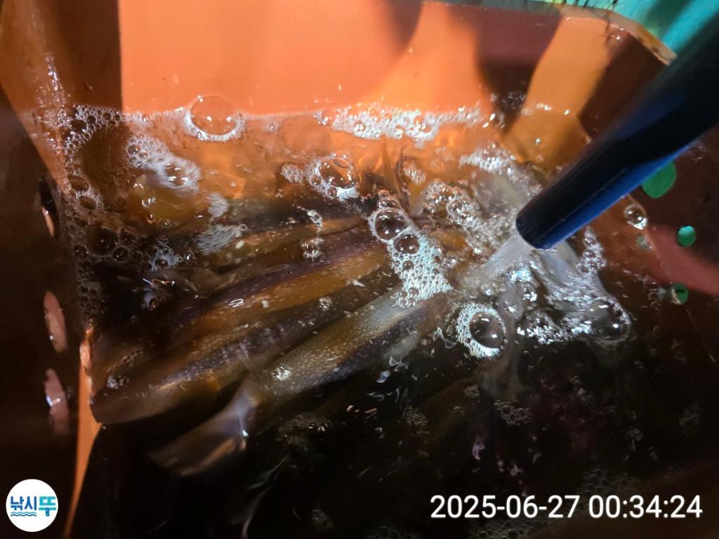 F271122899.jpg