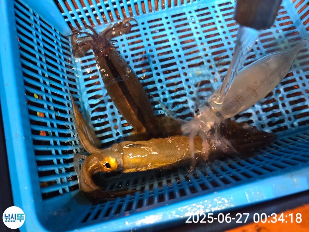 F2711229LE.jpg