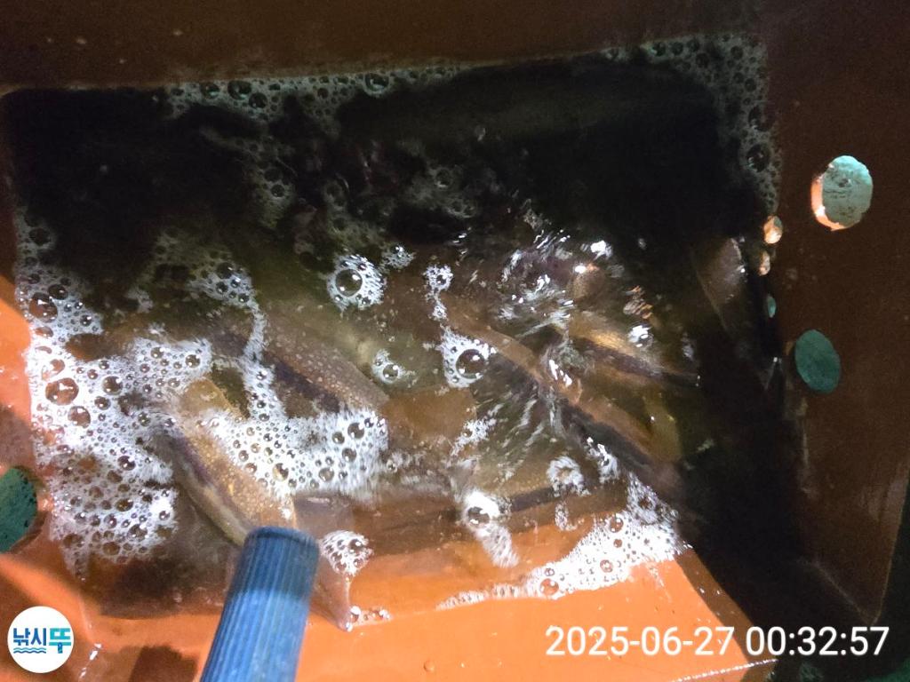 F27112355L.jpg