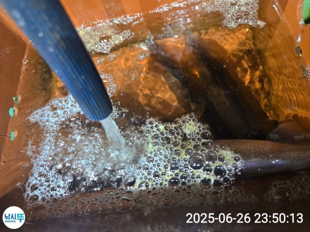 F271124287.jpg