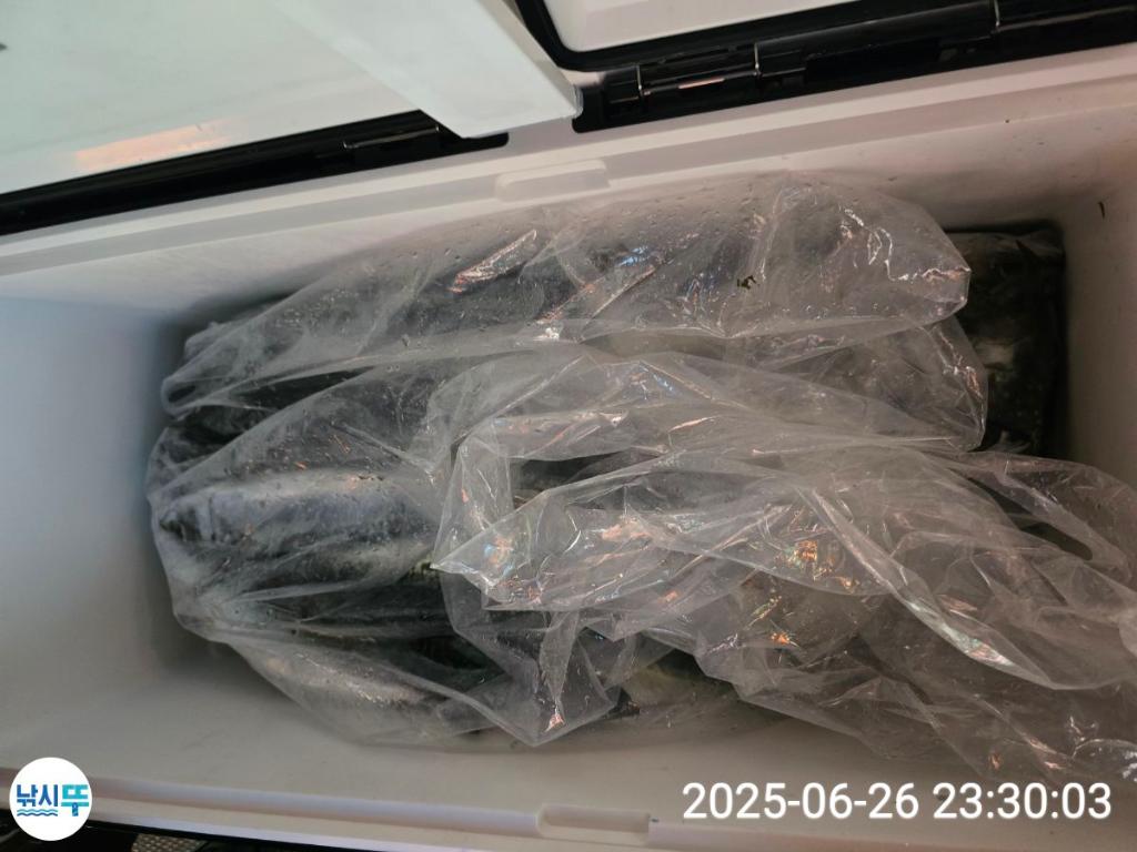 F271125134.jpg