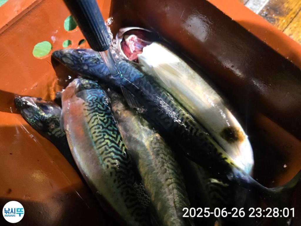 F2711258F8.jpg