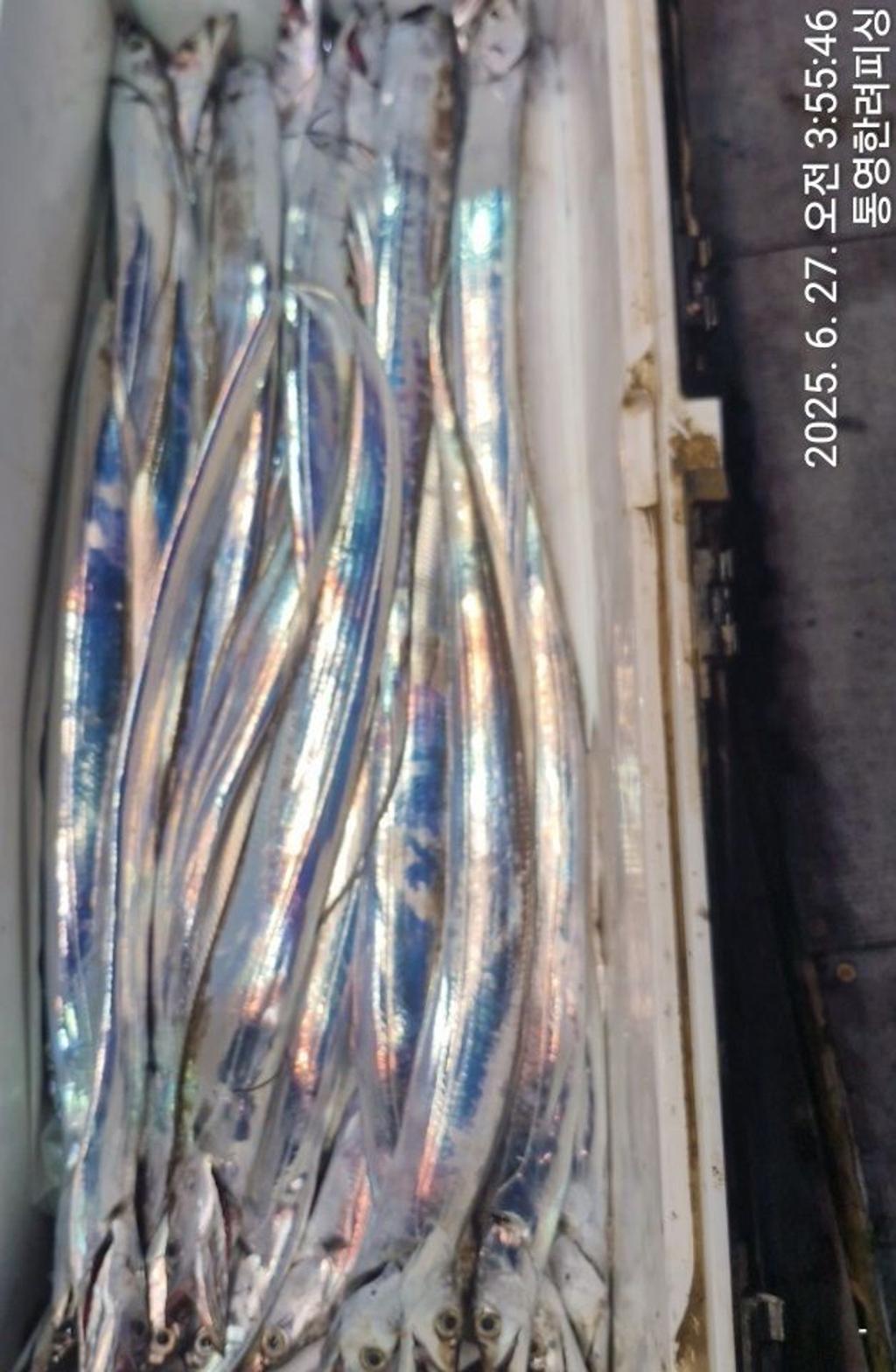F27113182Z.jpg