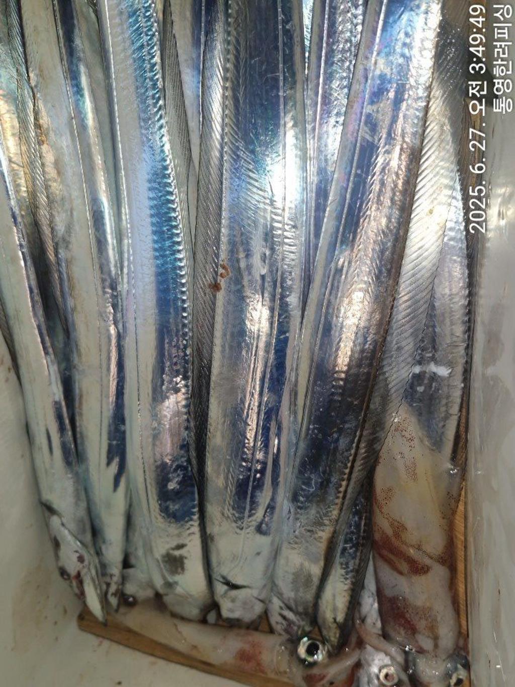 F2711331J8.jpg