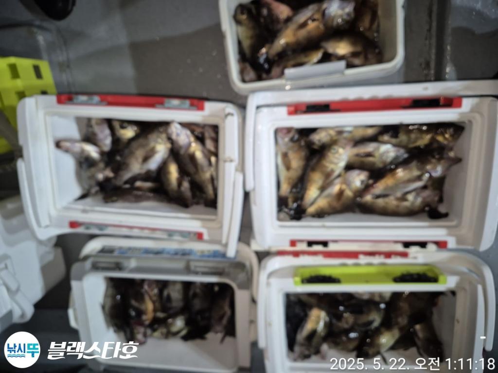 낚시뚜,볼락,삼천포 팔포항,삼천포 블랙스타,낚시뚜1