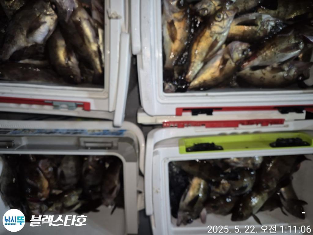 낚시뚜,볼락,삼천포 팔포항,삼천포 블랙스타,낚시뚜0