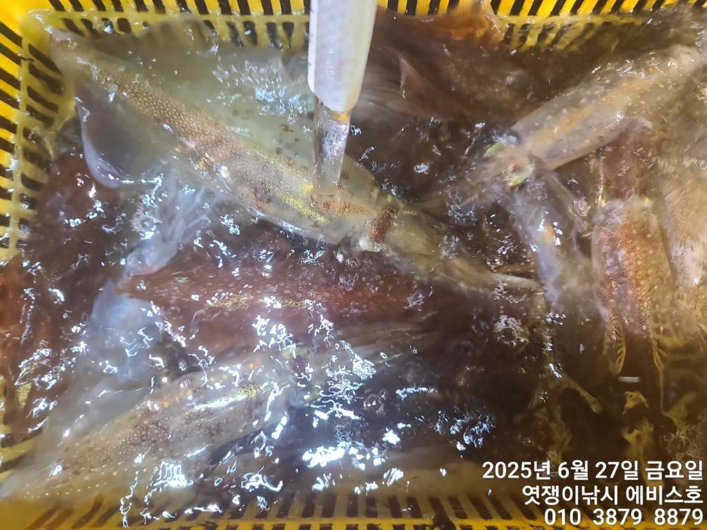 F271128214.jpg
