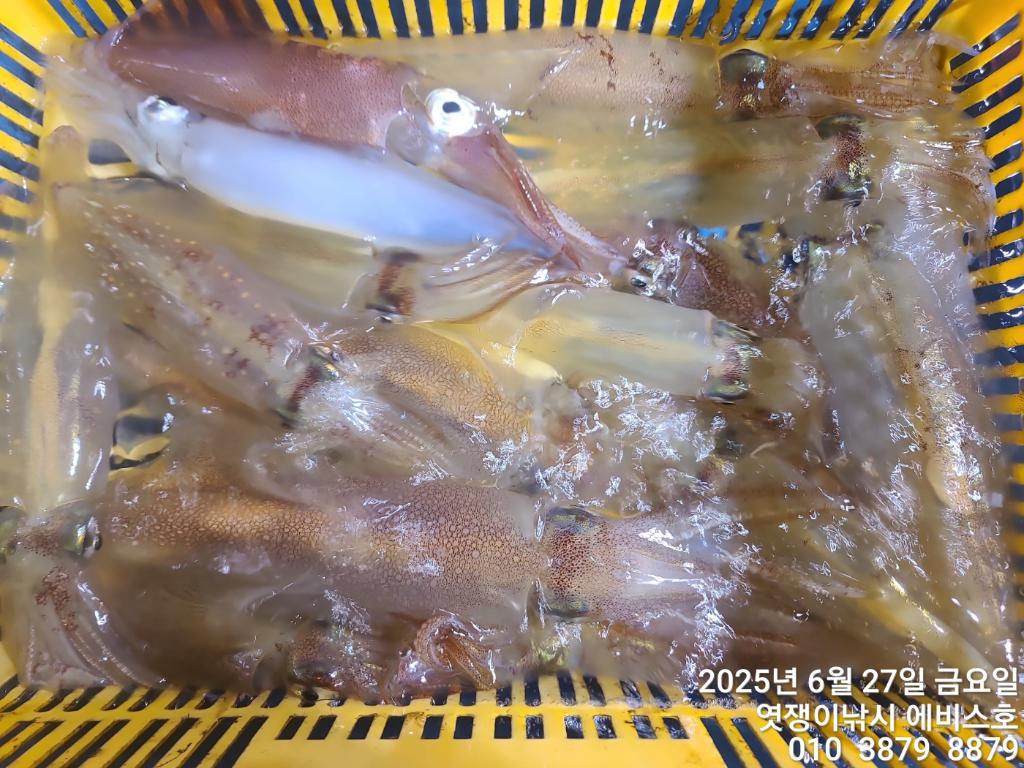 F27112845A.jpg