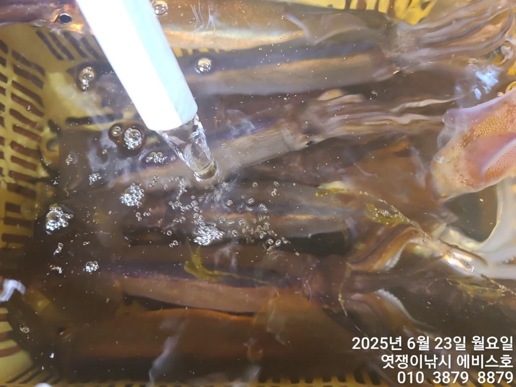 F271131642.jpg
