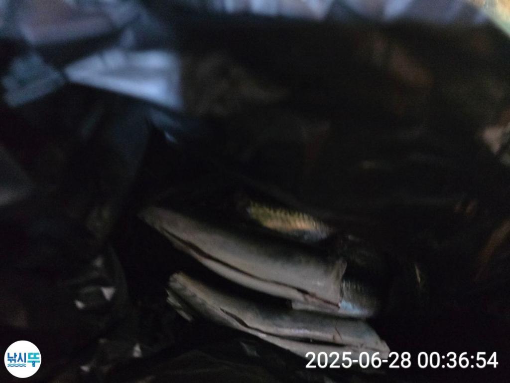 F2711594YS.jpg