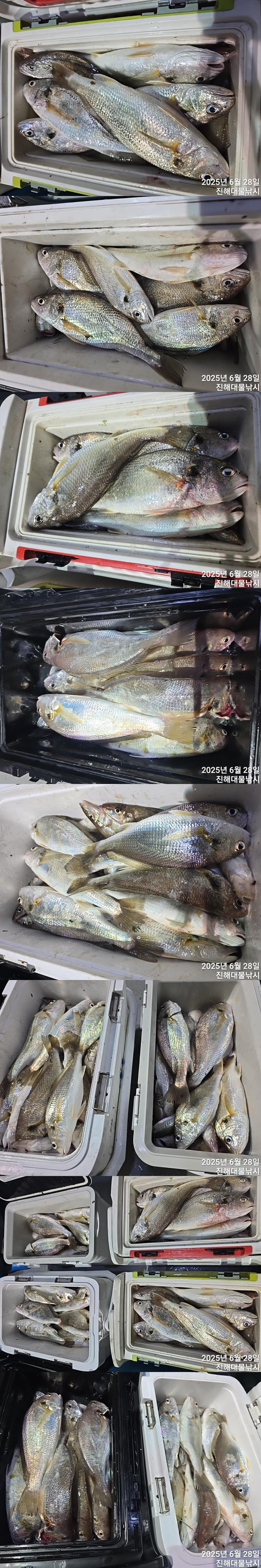 F2711713OJ.jpg