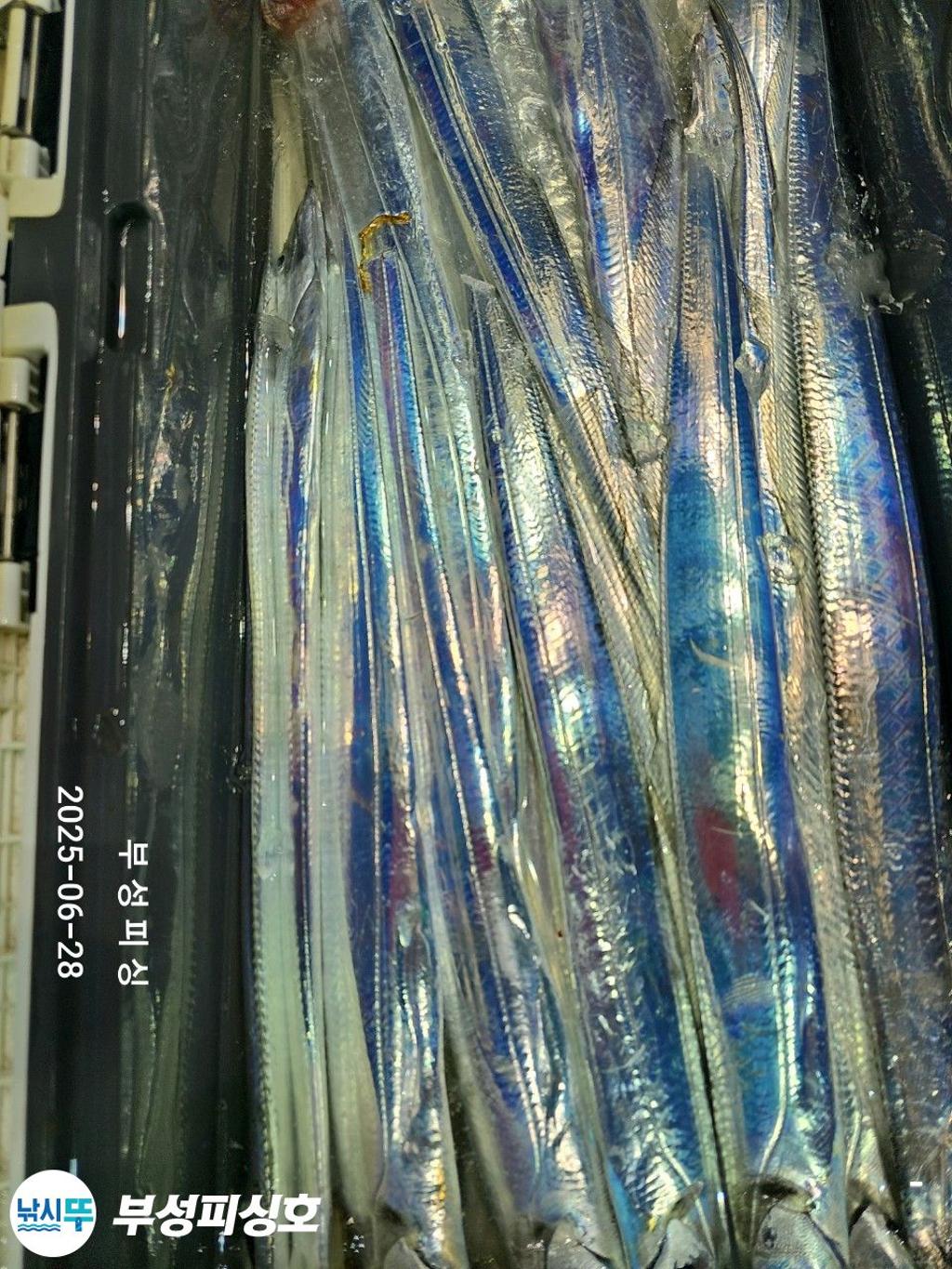 F2711808XW.jpg