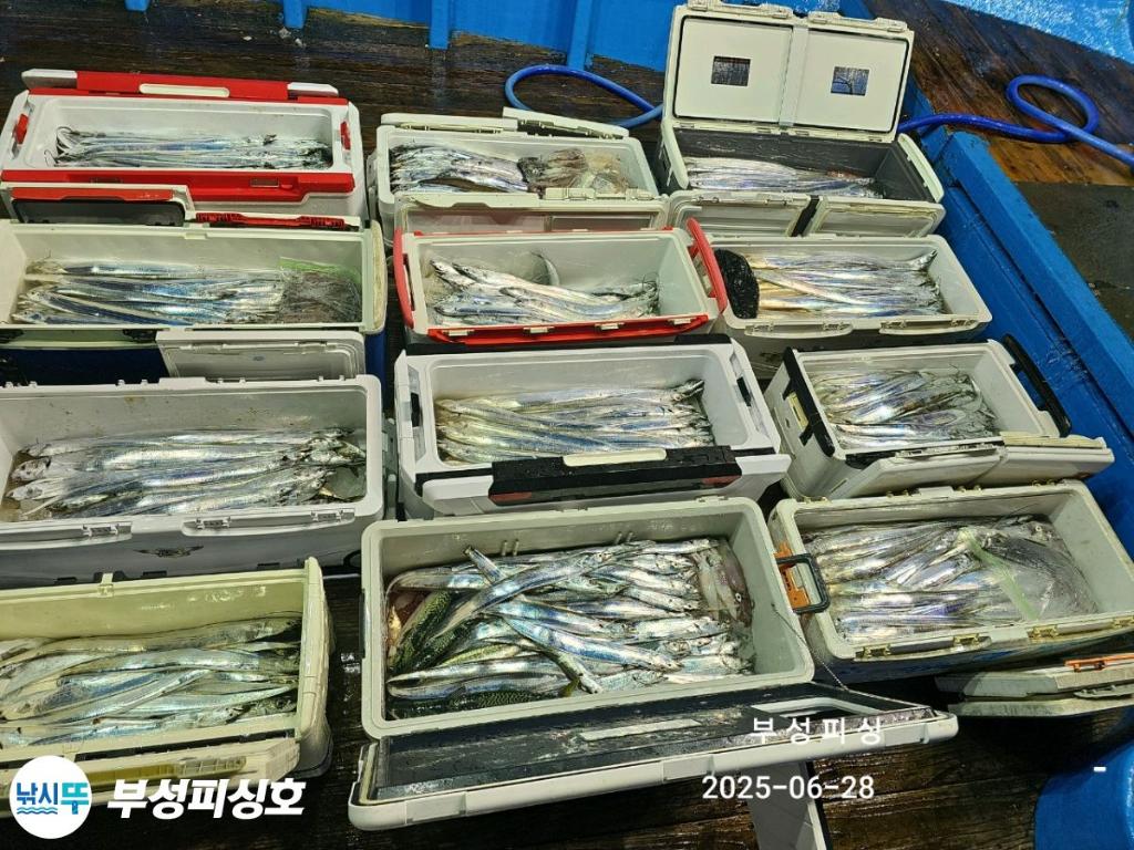 F2711813LU.jpg