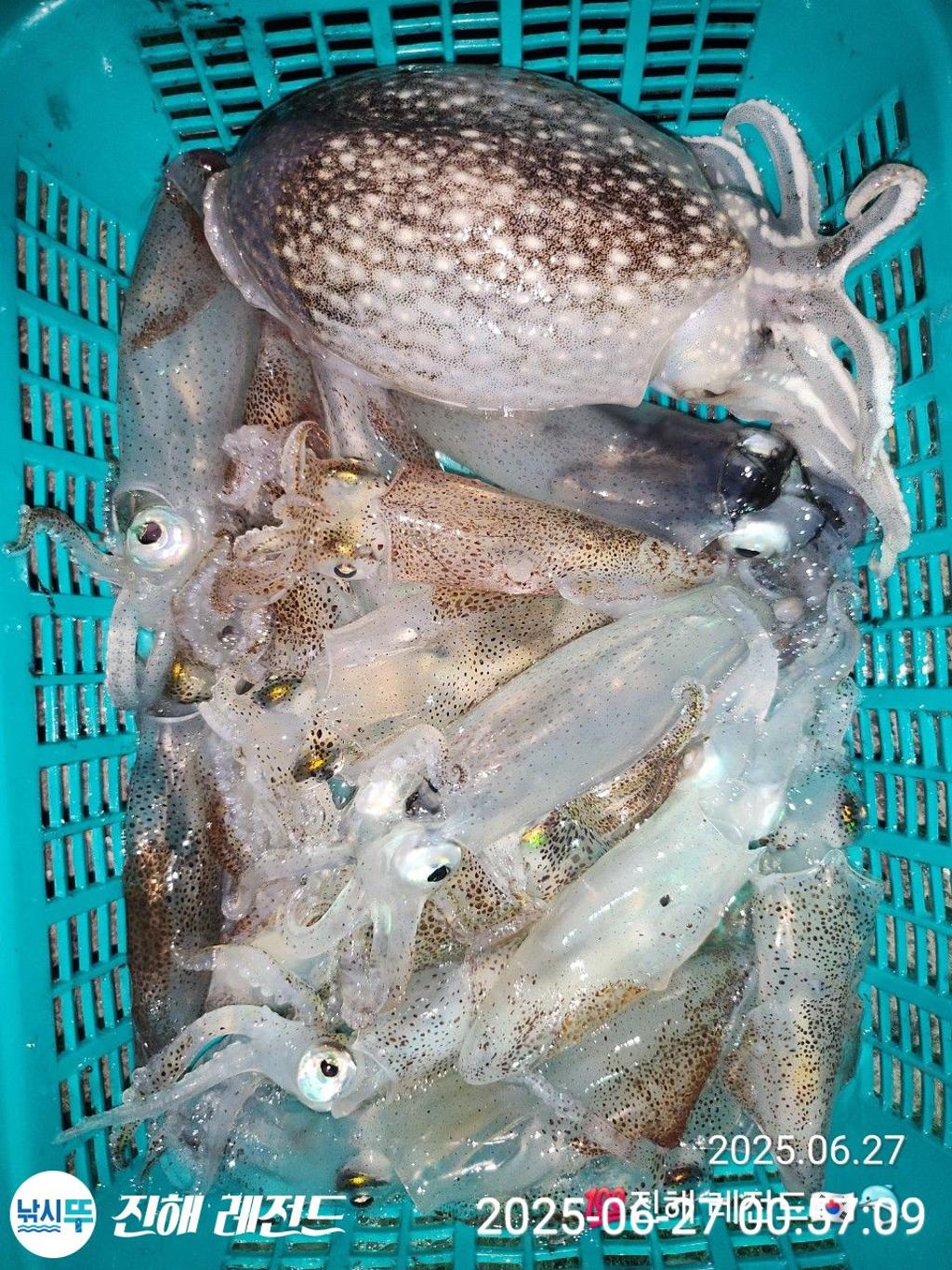 F2711847TZ.jpg