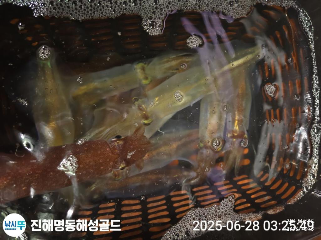 F2711924Q4.jpg